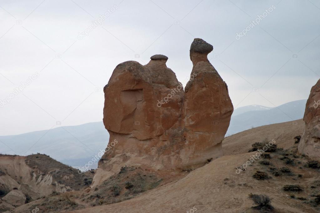 Camel rock in Devrent valley, Cappadocia, Turkey