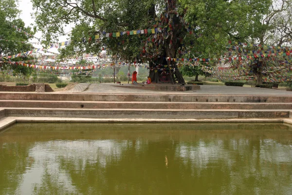 Puskarni λίμνη σε Lumbini, Νεπάλ — Φωτογραφία Αρχείου