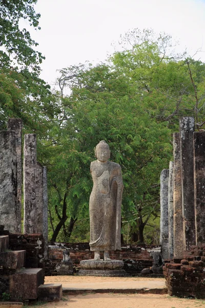 在神圣的四合院，波隆纳鲁沃，斯里兰卡 Atadage — 图库照片