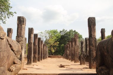 Kalıntılar Konsey odası Polonnaruwa, Sri Lanka