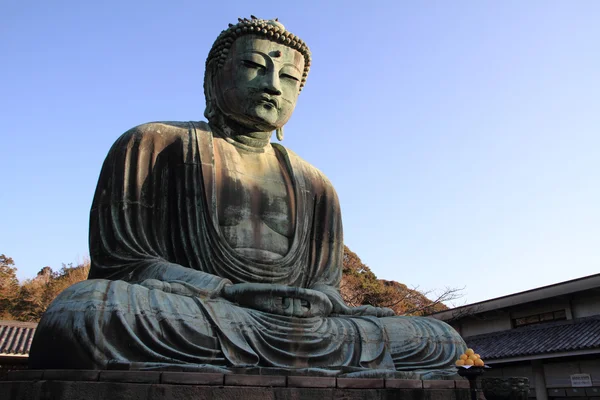 Kamakura, Japonya'da büyük Buda — Stok fotoğraf