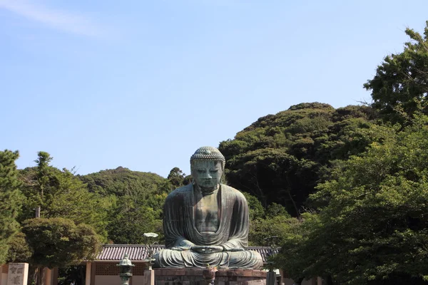 Der große buddha in kamakura, japan — Stockfoto