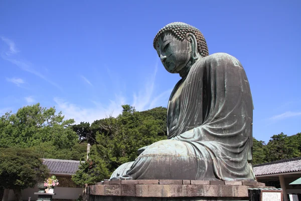 Velký Buddha v Kamakura, Japonsko — Stock fotografie