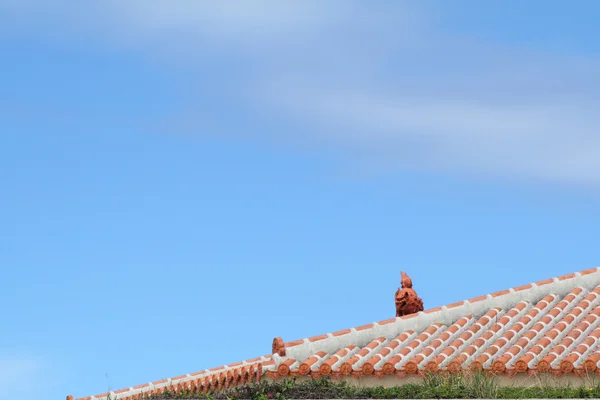 Shisa (guardian z království Rjúkjú) v Okinawa — Stock fotografie