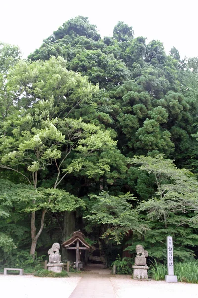 Shirakawa heiligdom in Fukushima, Japan — Stockfoto