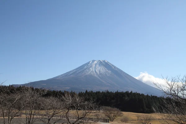 Mt. Fuji, vista desde el lago Oeste en Yamanashi, Japón — Foto de Stock