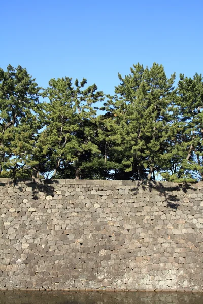 Castle wall of Edo castle — Stock Photo, Image