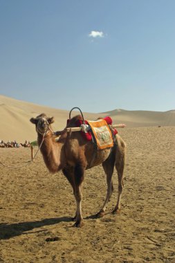 Deve Mingsha Shan (Echo kum Dağı) Dunhuang, Çin'de