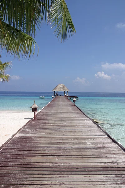 Southern resort island of Maldives in Indian ocean — Stock Photo, Image