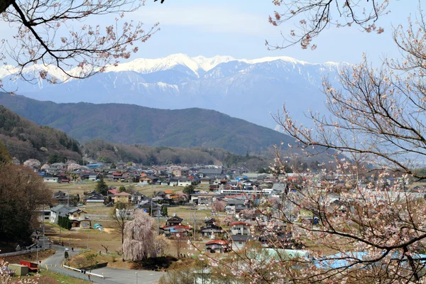 Flores de cereja no início da primavera em Takato, Nagano, Japão — Fotografia de Stock