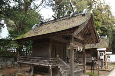Izumo Taisha tapınak Izumo,: Shimane, Japan