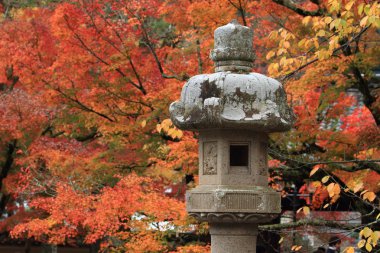 Sonbahar yaprakları Shuzenji Tapınağı, Izu, Japonya