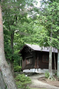 Günlük ev içinde Japonya