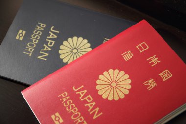 Japon pasaport (kırmızı ve mavi)