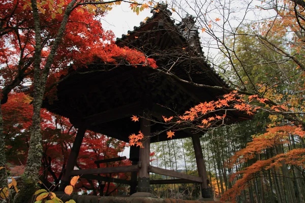 Höstlöv vid tempel Shuzenji, Izu, Japan — Stockfoto