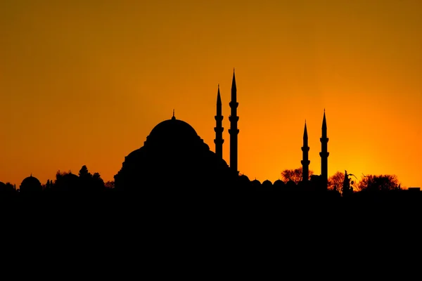 Istanbul, Türkiye (akşam sahne peyzaj) — Stok fotoğraf