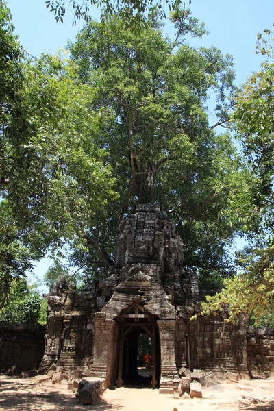 Kelet-gopuram, Ta Som-Angkor-Siem Reap, Kambodzsa — Stock Fotó