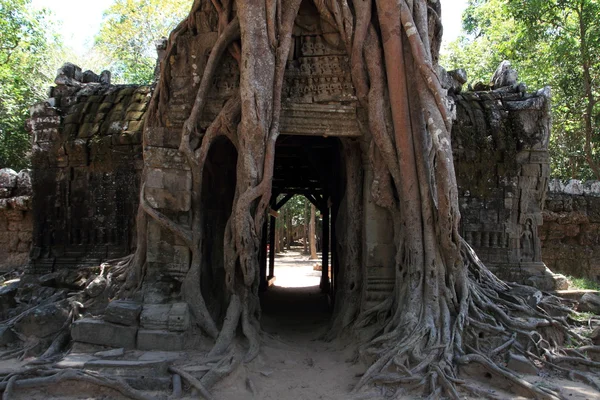 Gopuram oriental en Ta Som en Angkor, Siem Reap, Camboya —  Fotos de Stock