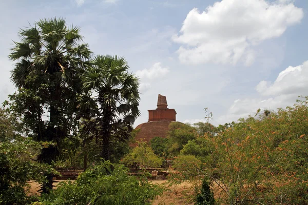 Jetavanaramaya en Anuradhapura, Sri Lanka —  Fotos de Stock