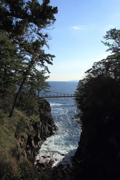 Puente colgante Kadowaki en la costa de Jogasaki, Izu, Shizuoka, Japón —  Fotos de Stock