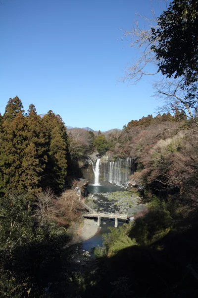 Shiraito nie taki (spada) w Shizuoka, Japonia — Zdjęcie stockowe