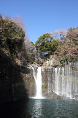 Shiraito Shizuoka, Japonya yok taki (Düşüyor)