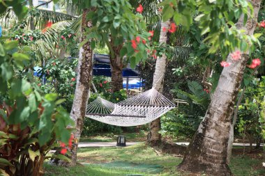 Guam, Mikronezya mavi gökyüzü altında hamak