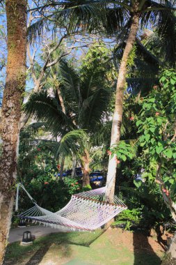 Guam, Mikronezya mavi gökyüzü altında hamak