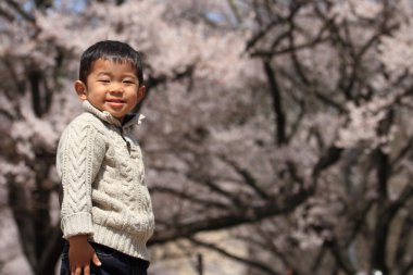 Japon çocuk ve kiraz çiçekleri (3 yaşında)