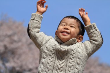 Japon çocuk ve kiraz çiçekleri (3 yaşında)