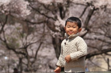 Japon çocuk ve kiraz çiçekleri (3 yaşında)