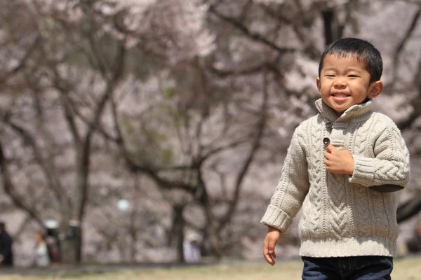 Chico japonés y flores de cerezo (3 años) ) — Foto de Stock