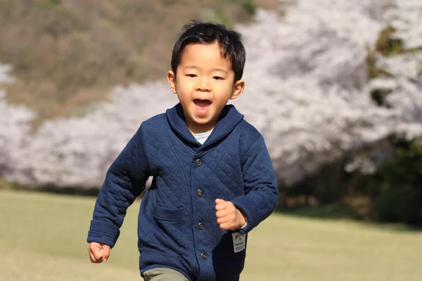 Correndo Japonês menino e cereja flores (4 anos ) — Fotografia de Stock