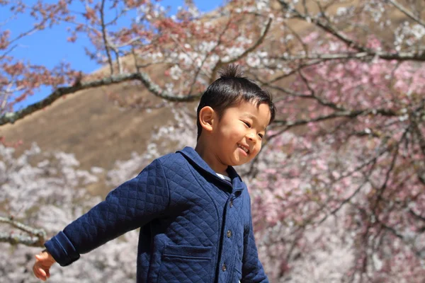 Correr chico japonés y flores de cerezo (4 años) ) — Foto de Stock