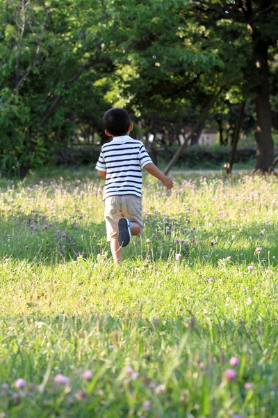 日本男児の草 (4 歳上で実行) — ストック写真