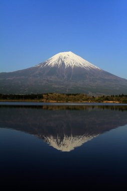 Mt. Fuji, Tanuki göletten Shizuoka, Japonya
