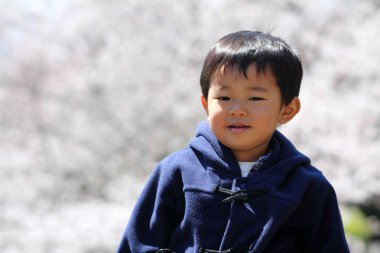 Japon çocuk ve kiraz çiçekleri (2 yaşında))