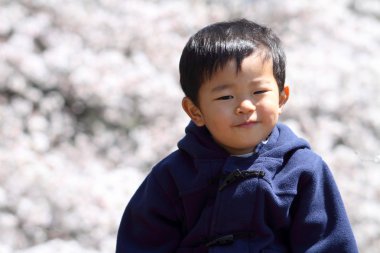 Japon çocuk ve kiraz çiçekleri (2 yaşında))