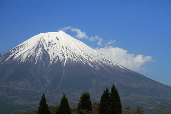MT. Fuji, vy från Tanuki lake i Shizuoka, Japan — Stockfoto