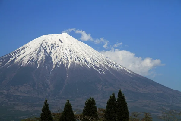 Mt. Fuji, uitzicht vanaf Tanuki lake in Shizuoka, Japan — Stockfoto