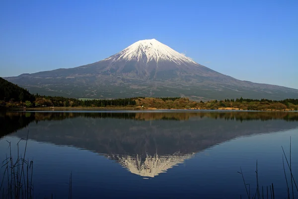 Mt. fuji, blick vom tanuki see in shizuoka, japan — Stockfoto