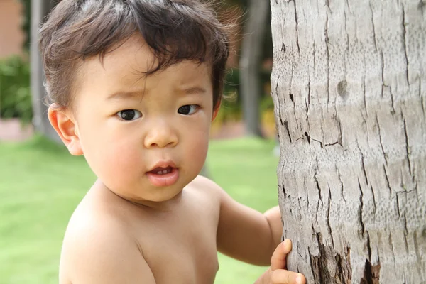 Japon çocuk (1 yıl yaşlı ağacın arkasına saklanıyor) — Stok fotoğraf