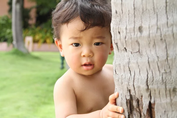 Japon çocuk (1 yıl yaşlı ağacın arkasına saklanıyor) — Stok fotoğraf