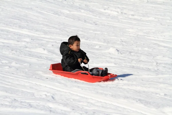 在雪橇 (3 岁的日本男孩) — 图库照片
