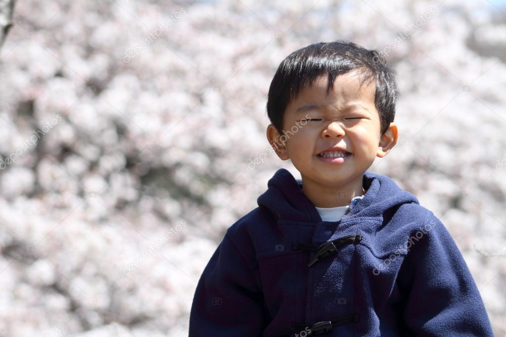Japanese boy and cherry blossoms (2 years old)