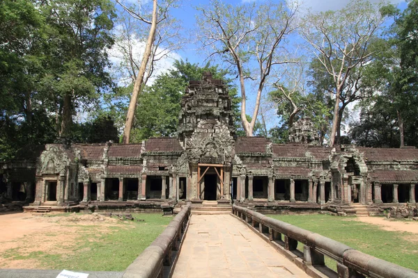 Ta Prohm w Angkor, Siem Reap, Kambodża — Zdjęcie stockowe
