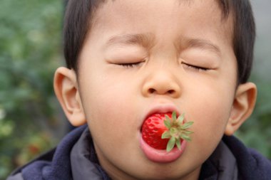 Japon çocuk çilek yiyor (2 yaşında))