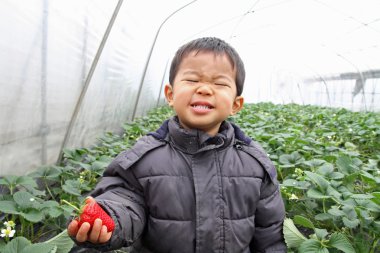 Japon çocuk çilek yiyor (2 yaşında))