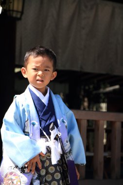 Yedi-Beş-Üç Festivali