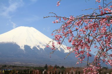 Mt. Fuji ve kiraz çiçekleri Yamanaka göl, Yamanashi, Japan